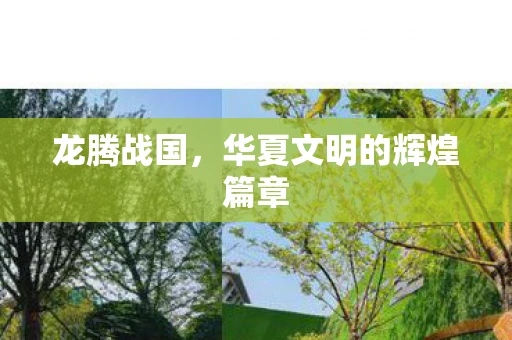 龙腾战国，华夏文明的辉煌篇章