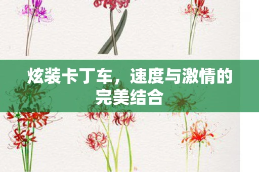 炫装卡丁车，速度与激情的完美结合