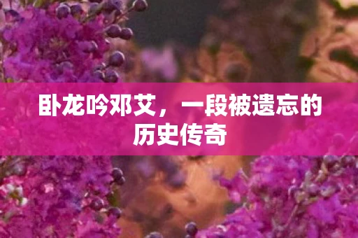 卧龙吟邓艾，一段被遗忘的历史传奇