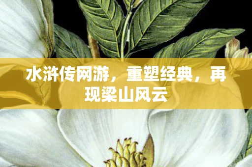 水浒传网游，重塑经典，再现梁山风云