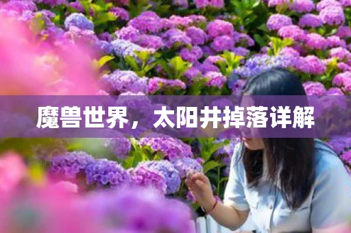 太阳井掉落详解图片