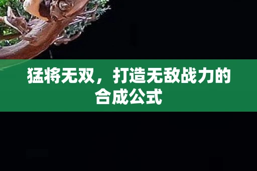 猛将无双，打造无敌战力的合成公式