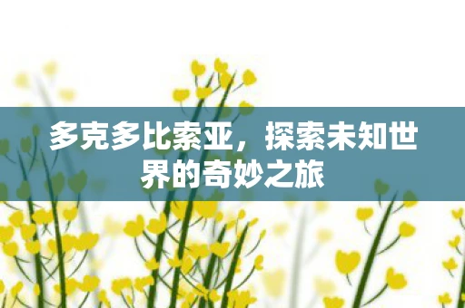 多克多比索亚，探索未知世界的奇妙之旅