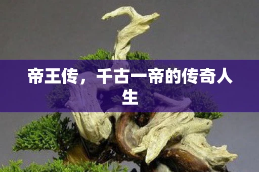 帝王传，千古一帝的传奇人生