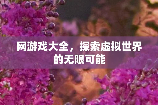 网游戏大全，探索虚拟世界的无限可能