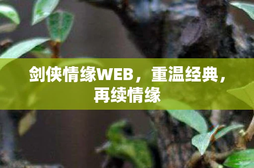 剑侠情缘WEB，重温经典，再续情缘