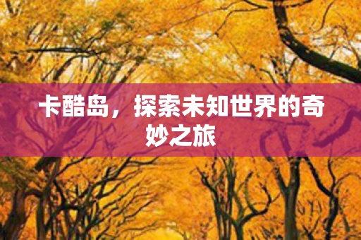 卡酷岛，探索未知世界的奇妙之旅