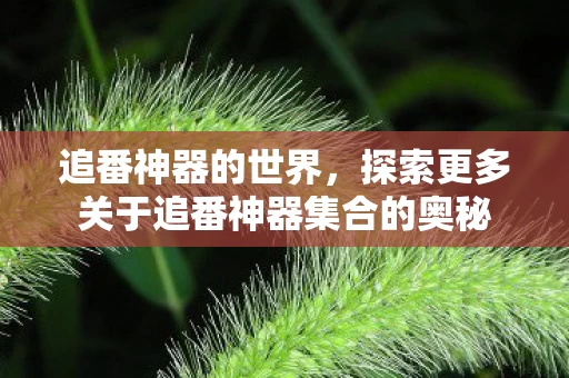 探索更多关于追番神器集合的奥秘图片