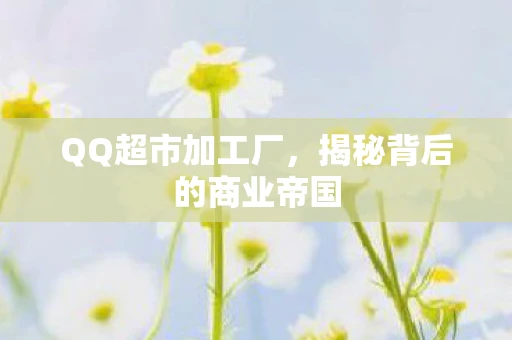 QQ超市加工厂，揭秘背后的商业帝国