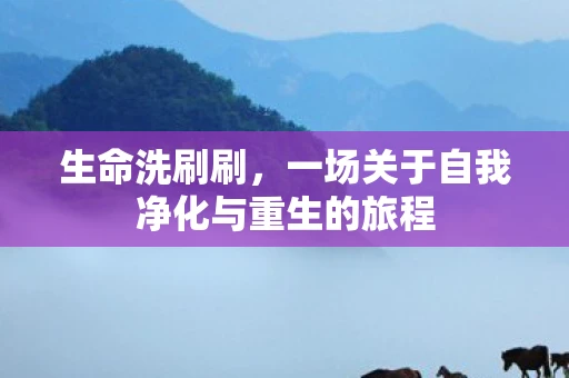 生命洗刷刷，一场关于自我净化与重生的旅程