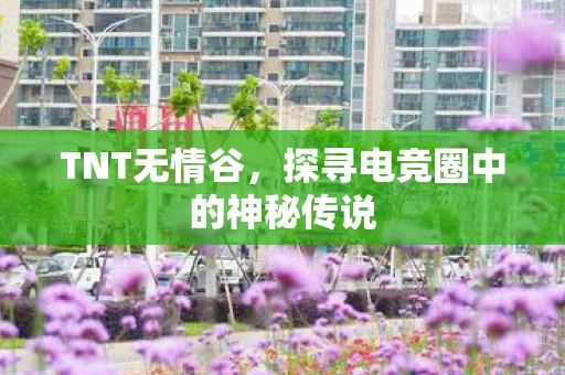 TNT无情谷，探寻电竞圈中的神秘传说