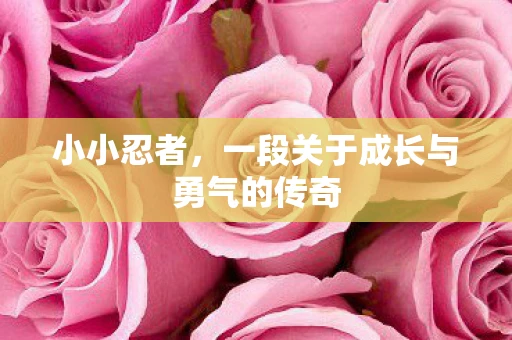 小小忍者，一段关于成长与勇气的传奇