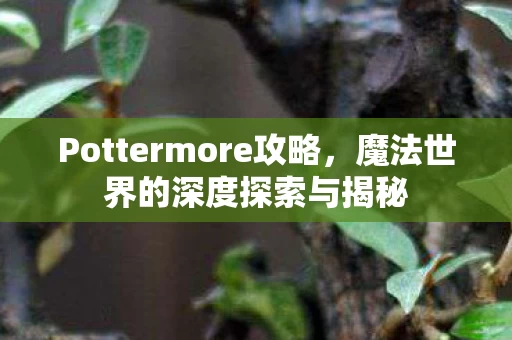 Pottermore攻略图片