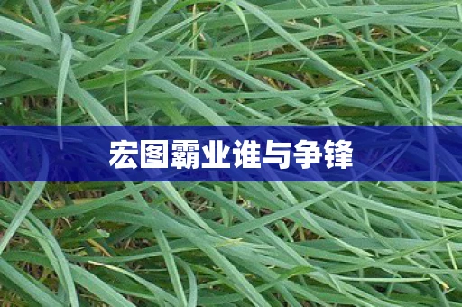 宏图霸业谁与争锋