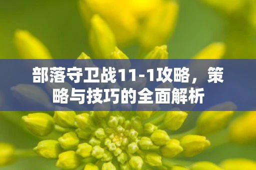 部落守卫战11-1攻略，策略与技巧的全面解析