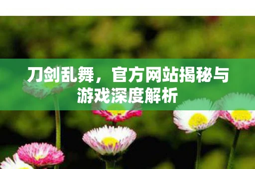刀剑乱舞，官方网站揭秘与游戏深度解析