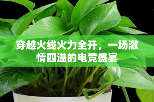 穿越火线火力全开，一场激情四溢的电竞盛宴