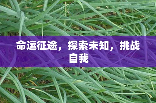 命运征途，探索未知，挑战自我
