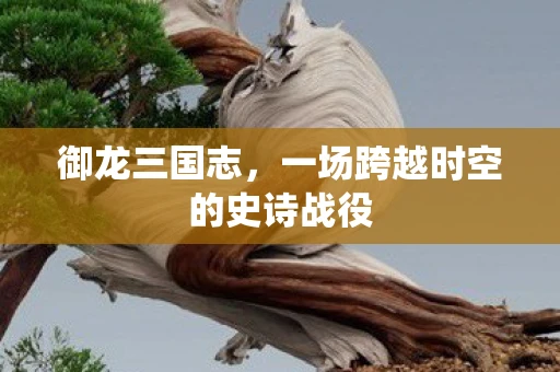 御龙三国志，一场跨越时空的史诗战役