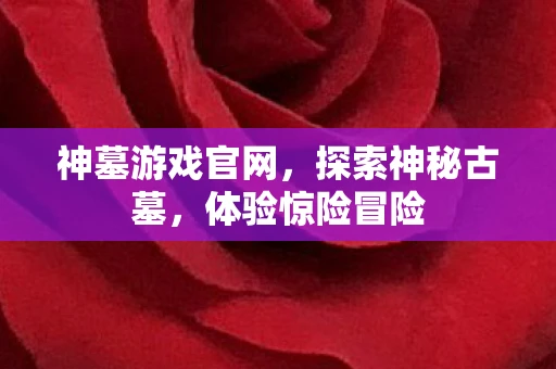 神墓游戏官网，探索神秘古墓，体验惊险冒险