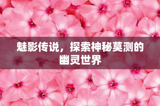 魅影传说，探索神秘莫测的幽灵世界