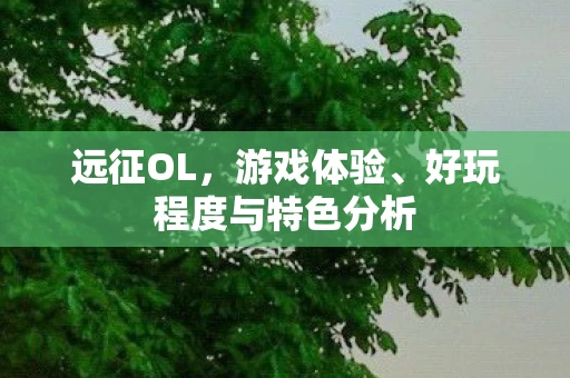 好玩程度与特色分析图片