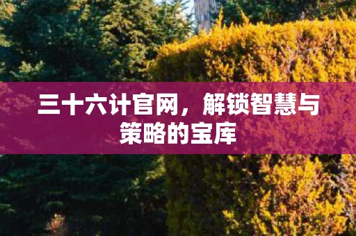 三十六计官网，解锁智慧与策略的宝库