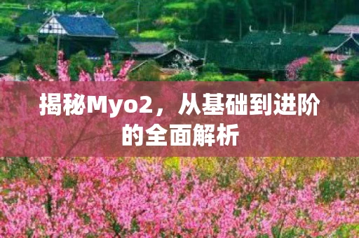揭秘Myo2，从基础到进阶的全面解析