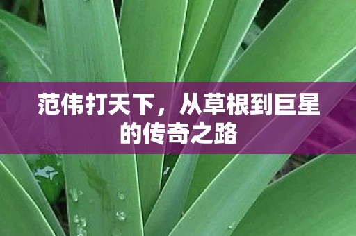 范伟打天下，从草根到巨星的传奇之路