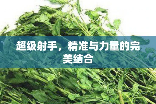 超级射手，精准与力量的完美结合