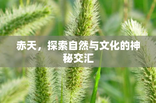 赤天，探索自然与文化的神秘交汇