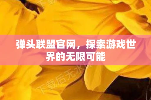弹头联盟官网，探索游戏世界的无限可能