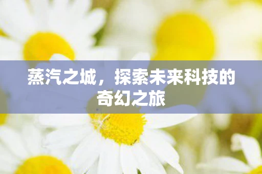 蒸汽之城，探索未来科技的奇幻之旅