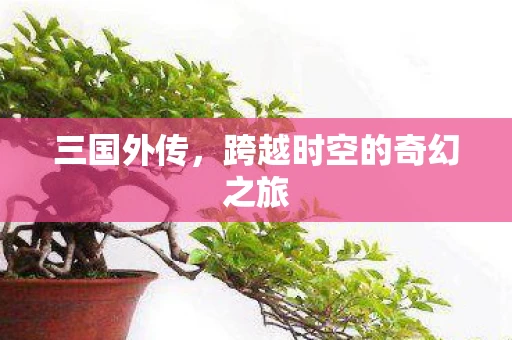 三国外传，跨越时空的奇幻之旅