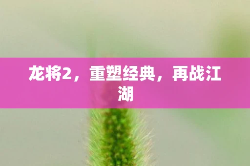 龙将2，重塑经典，再战江湖
