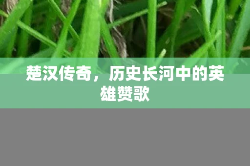 楚汉传奇，历史长河中的英雄赞歌