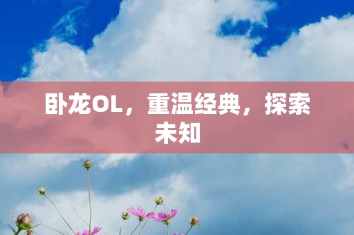 卧龙OL，重温经典，探索未知