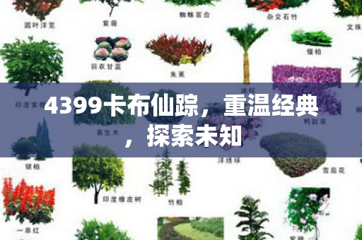 4399卡布仙踪，重温经典，探索未知