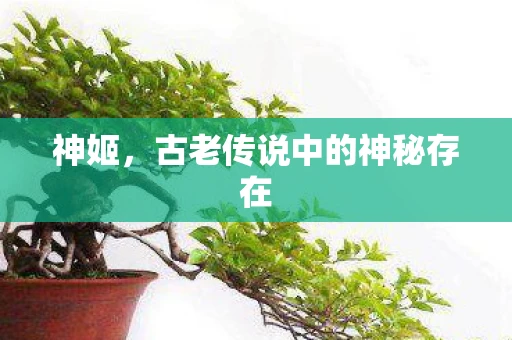 神姬，古老传说中的神秘存在