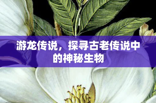 游龙传说，探寻古老传说中的神秘生物