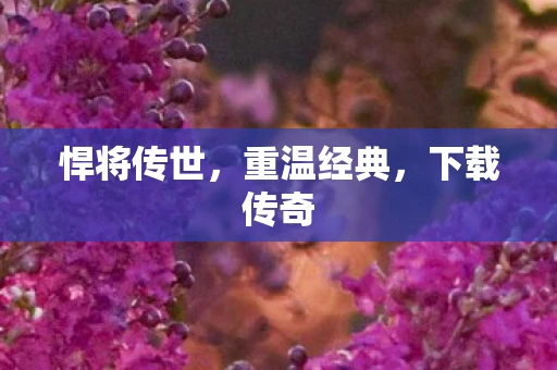 悍将传世，重温经典，下载传奇