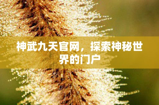 神武九天官网，探索神秘世界的门户