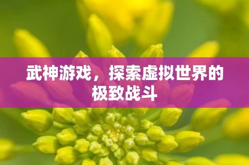 武神游戏，探索虚拟世界的极致战斗