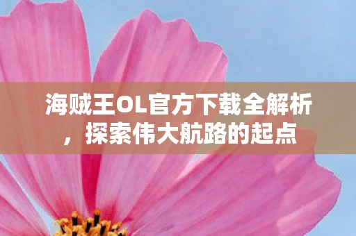海贼王OL官方下载全解析，探索伟大航路的起点