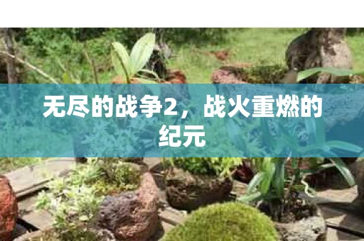 无尽的战争2，战火重燃的纪元