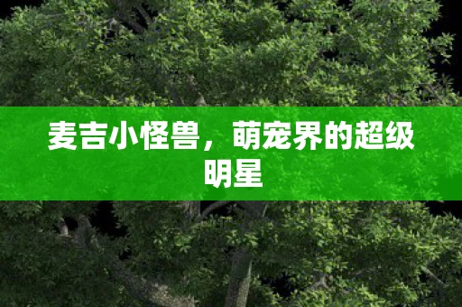 麦吉小怪兽，萌宠界的超级明星