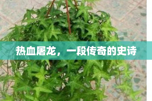 热血屠龙，一段传奇的史诗