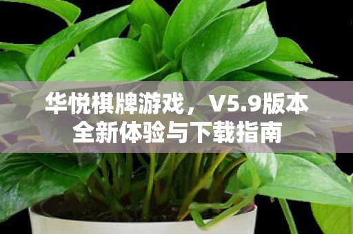 9版本全新体验与下载指南图片