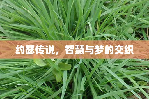 约瑟传说，智慧与梦的交织