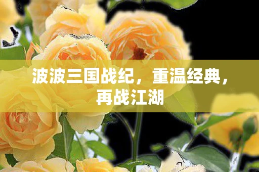 波波三国战纪，重温经典，再战江湖